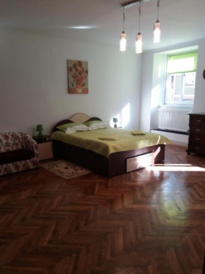 Charming downtown studio Braşov